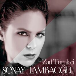 Album cover of Zarf Tümleci