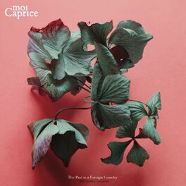 Album cover of The Past is a Foreign Country (Alternative version)