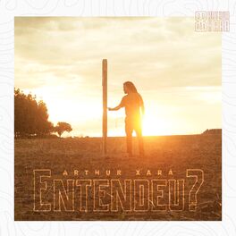 Album cover of Entendeu?