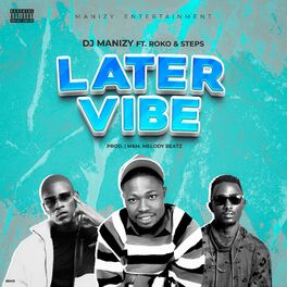 Album cover of Later vibe (feat. Roko & Steps)
