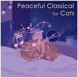 Album cover of Peaceful Classical for Cats