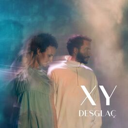 Album cover of Desglaç