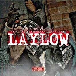 Album cover of Lay Low