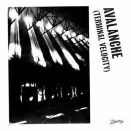 Album cover of Avalanche (Terminal Velocity)