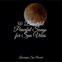 Album cover of 50 Beautiful Peaceful Songs for Spa Vibes