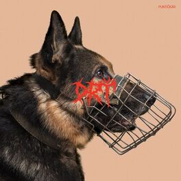 Album cover of Puntičkár