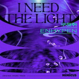 Album cover of I Need The Light