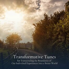 Album cover of * Transformative Tunes for Transcending the Boundaries of Our Individual Experiences Into a Better World *