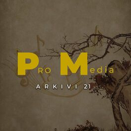 Album cover of Produksioni Pro Media