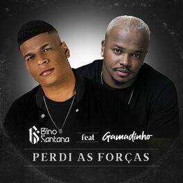 Album cover of Perdi as Forças