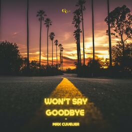 Album cover of Won't Say Goodbye