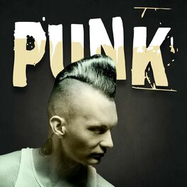 Album cover of Punk