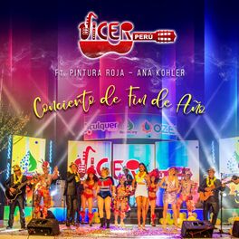 Album cover of Concierto de Fin de Año