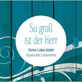 Album cover of So groß ist der Herr - Deine Liebe bleibt