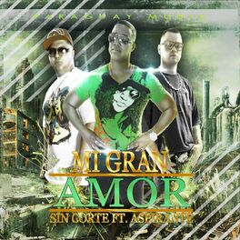Album cover of Mi Gran Amor