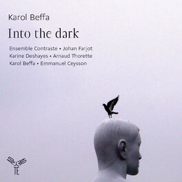 Album cover of Karol Beffa: Into the dark