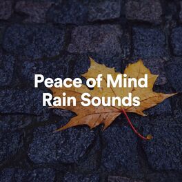 Album cover of Peace of Mind Rain Sounds
