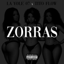 Album cover of Zorras