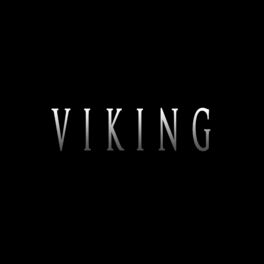 Album cover of VIKING (feat. Sero Produktion Beats)