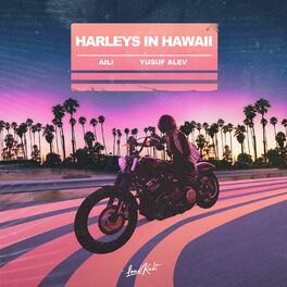 Album cover of Harleys in Hawaii