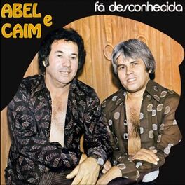 Album cover of Fã Desconhecida