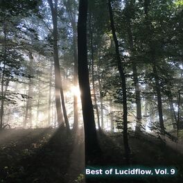 Album cover of Best of Lucidflow, Vol. 9