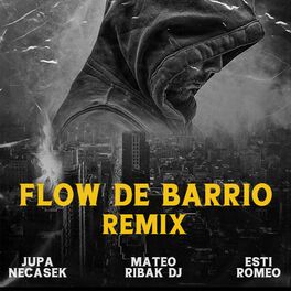 Album cover of Flow de Barrio (Remix)