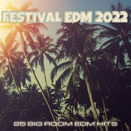 Album cover of Festival EDM 2022 (25 Big Room EDM Hits)