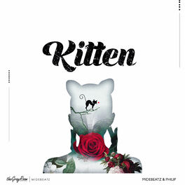 Album cover of Kitten