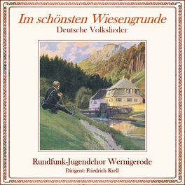 Album cover of Im schönsten Wiesengrunde - Deutsche Volkslieder