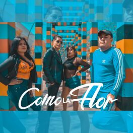 Album cover of Como La Flor (feat. Dj Foxxx & Lucero)
