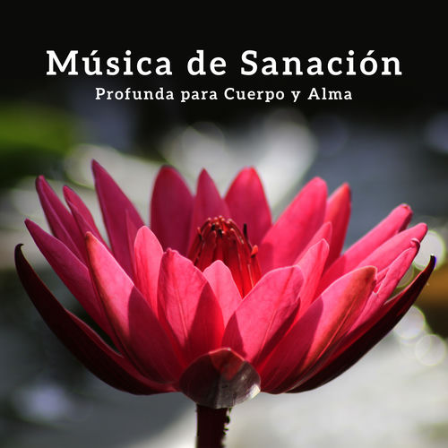 Relajación Meditar Academie - Música de Sanación Profunda para Cuerpo y ...