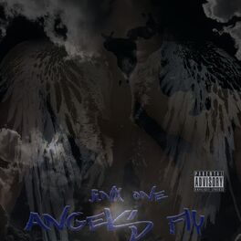 Album cover of Angels Fly