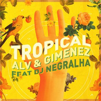 Tropical cover