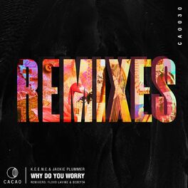 Album cover of Why Do You Worry Remixes