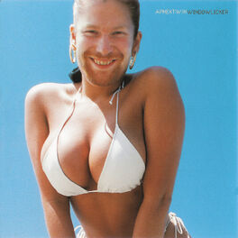 Album picture of Windowlicker