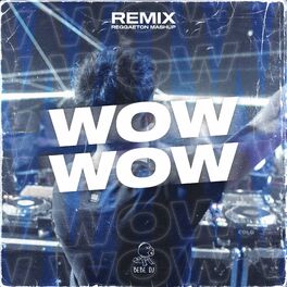 Album cover of Wow Wow (Reggaeton Mashup) (Remix)