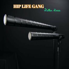 Album cover of Hip Life Gang