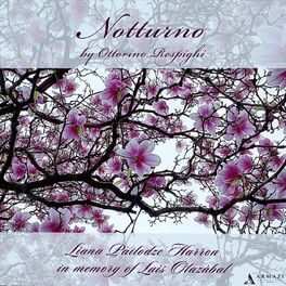 Album cover of Notturno