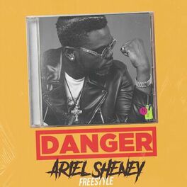 Album cover of Danger (Freestyle)