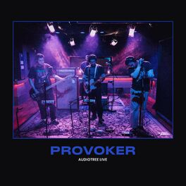 Album cover of Provoker On Audiotree live