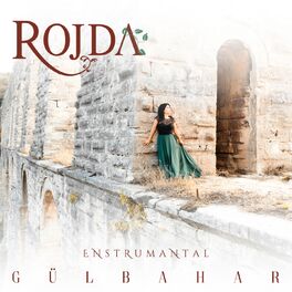 Album cover of Gülbahar (Enstrumental)