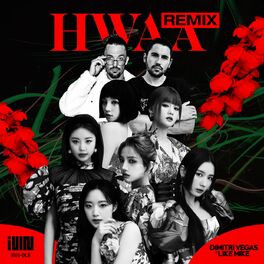 Album cover of HWAA (Dimitri Vegas & Like Mike Remix)