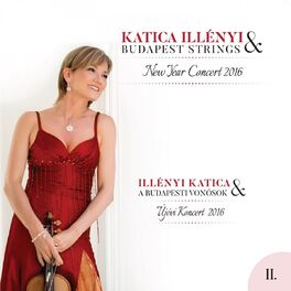 Album cover of New Year Concert 2016, Pt. 2