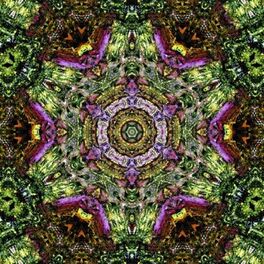 Album cover of Hashmal