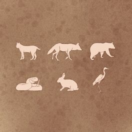 Album cover of Idle Daylight