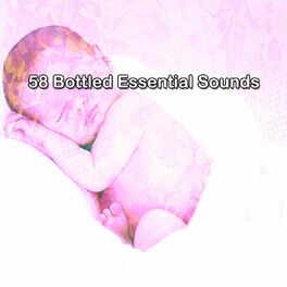 Album cover of 58 Bottled Essential Sounds