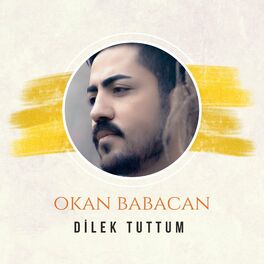 Album cover of Dilek Tuttum