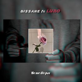 Album cover of Ne me dis pas (feat. ludo)