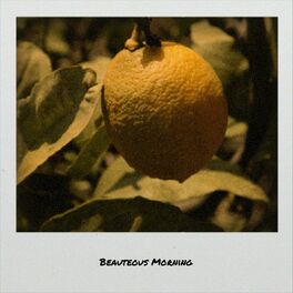 Album cover of Beauteous Morning